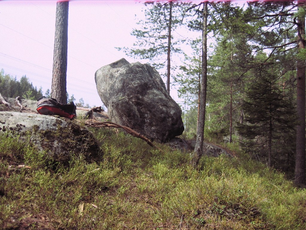 stein-i-skog