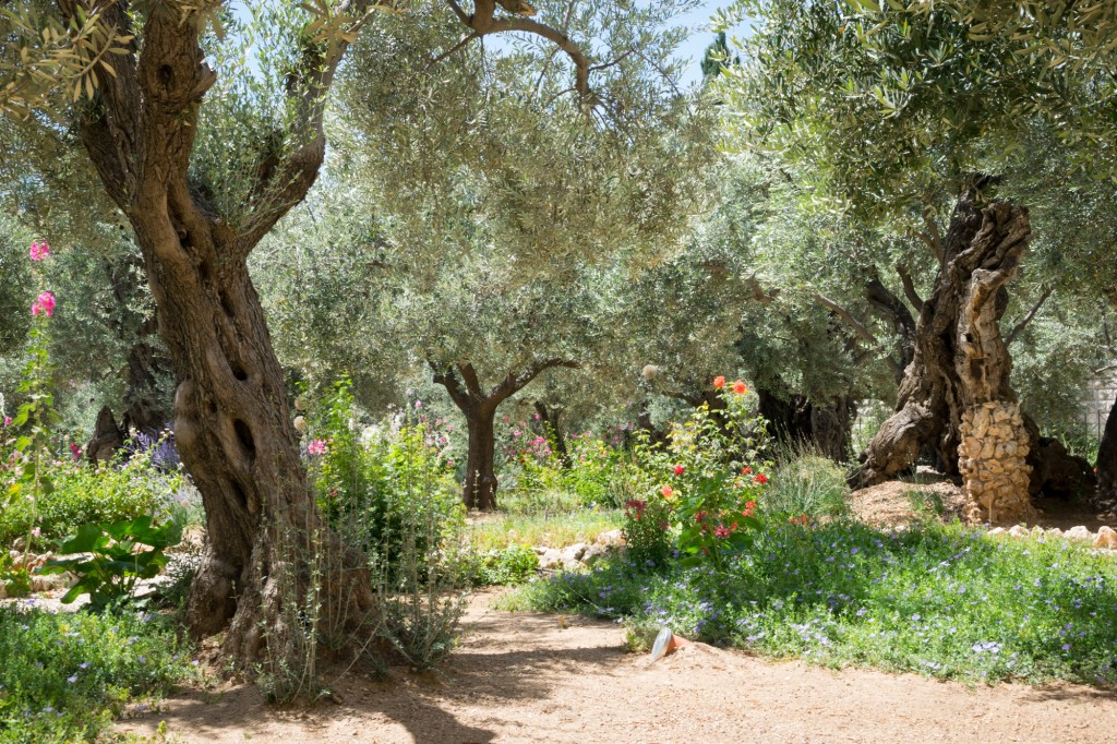 Getsemane 1