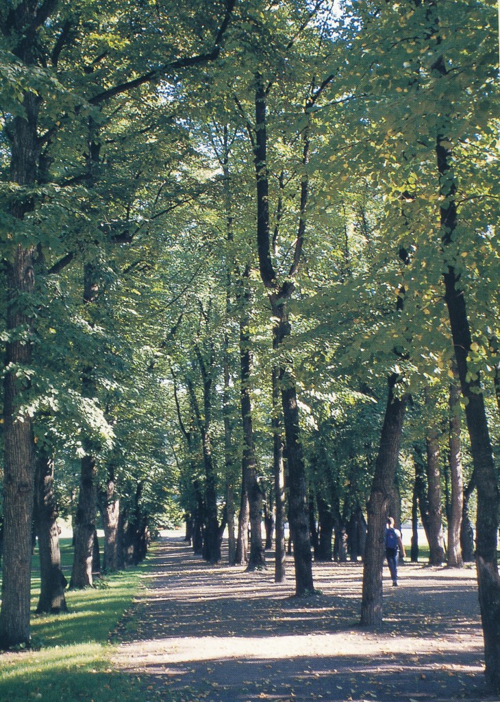 Almealè i Slotsparken