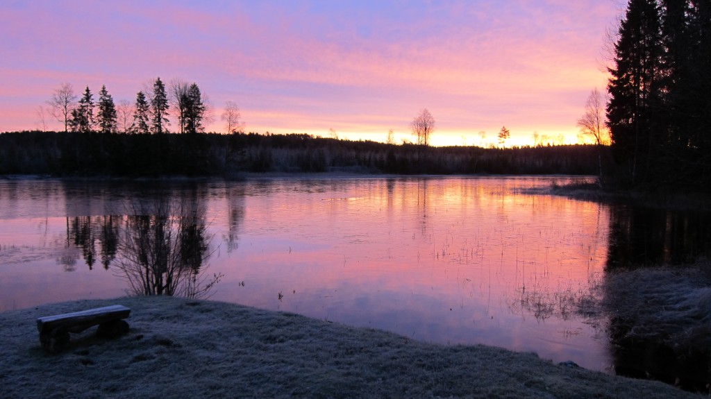 Morgendemring 4 Nils.